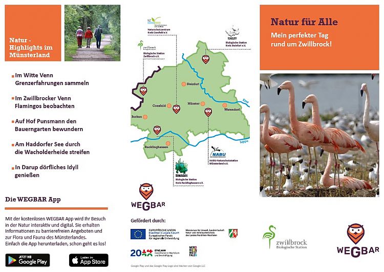 Flyer ein perfekter Tag