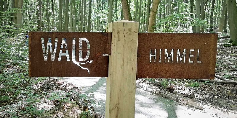 Beschilderung im Wald