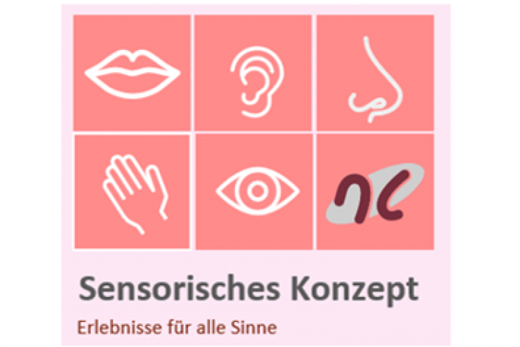 Logo Sensorisches Konzept mit Zeichnungen von Mund, Ohr, Nase, Hand, Auge und NC Schrift