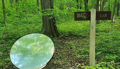  Ein runder Spiegel mitte im Wald spiegelt die Baumkrone