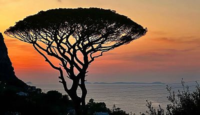 Sonnenuntergang an der Küste © Stefan Ulrich