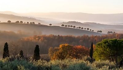 Die Toskanische Landschaft bei Giulia  © Juls’ Kitchen