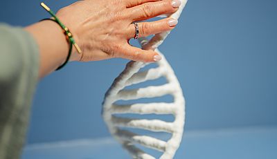 Tastobjekt © LWL/Steinweg